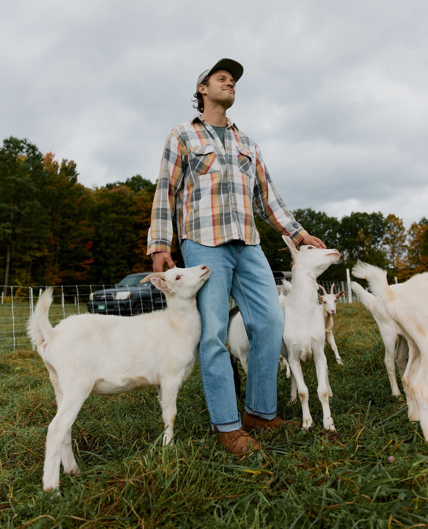 Man in a flannel shirt with jean standing in a herd of goats
