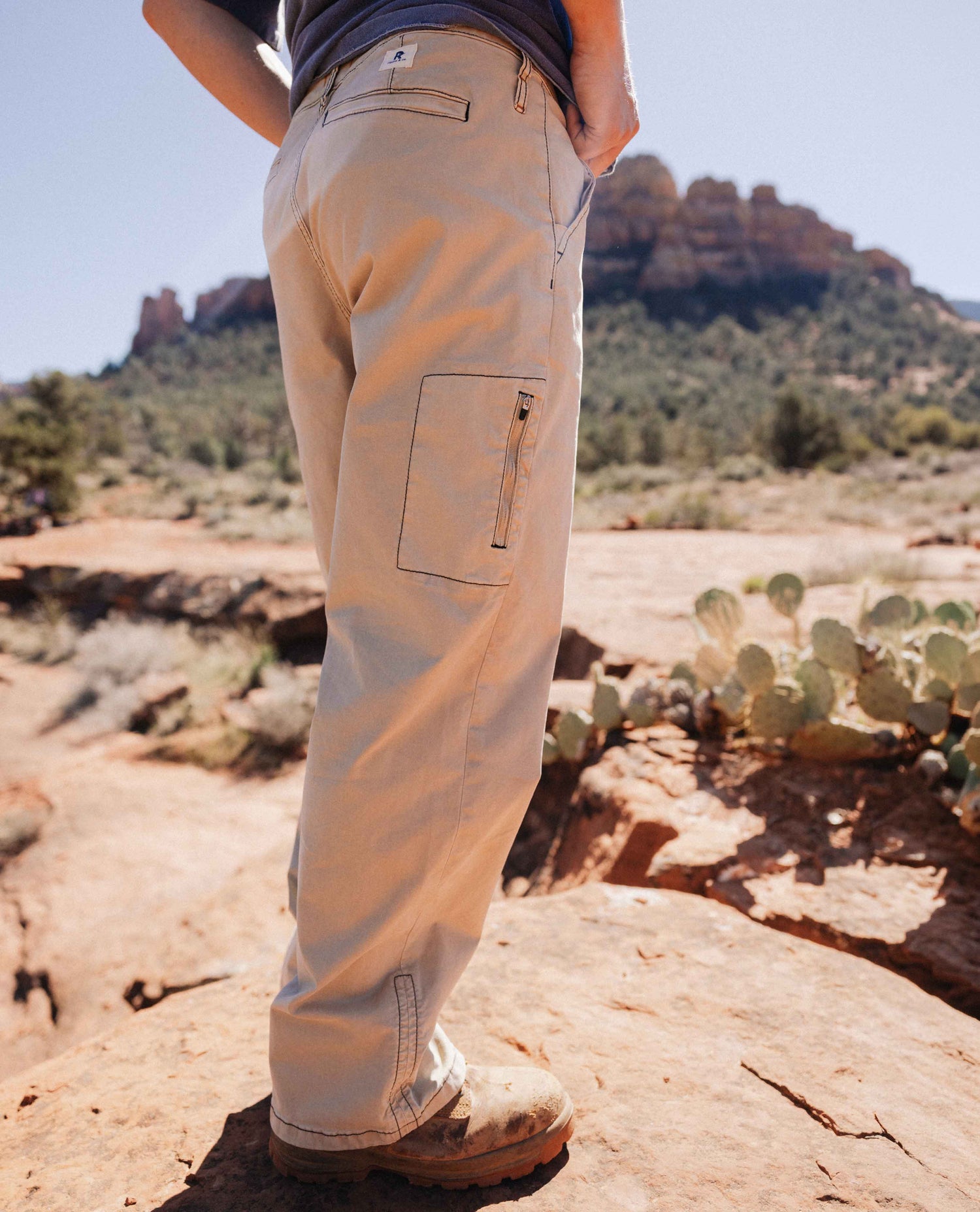 Person wearing beige pants standing on a rocky landscape with cacti and mountains in the background