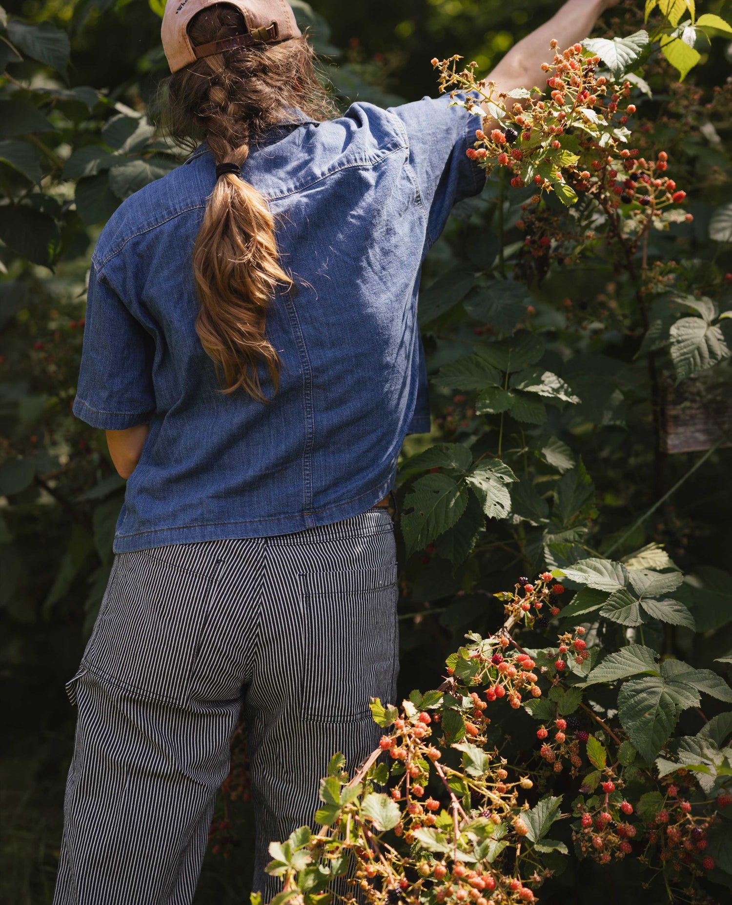 Woman next to a bush, reaching to pick berries. She is wearing a blue shirt and black and white striped pants