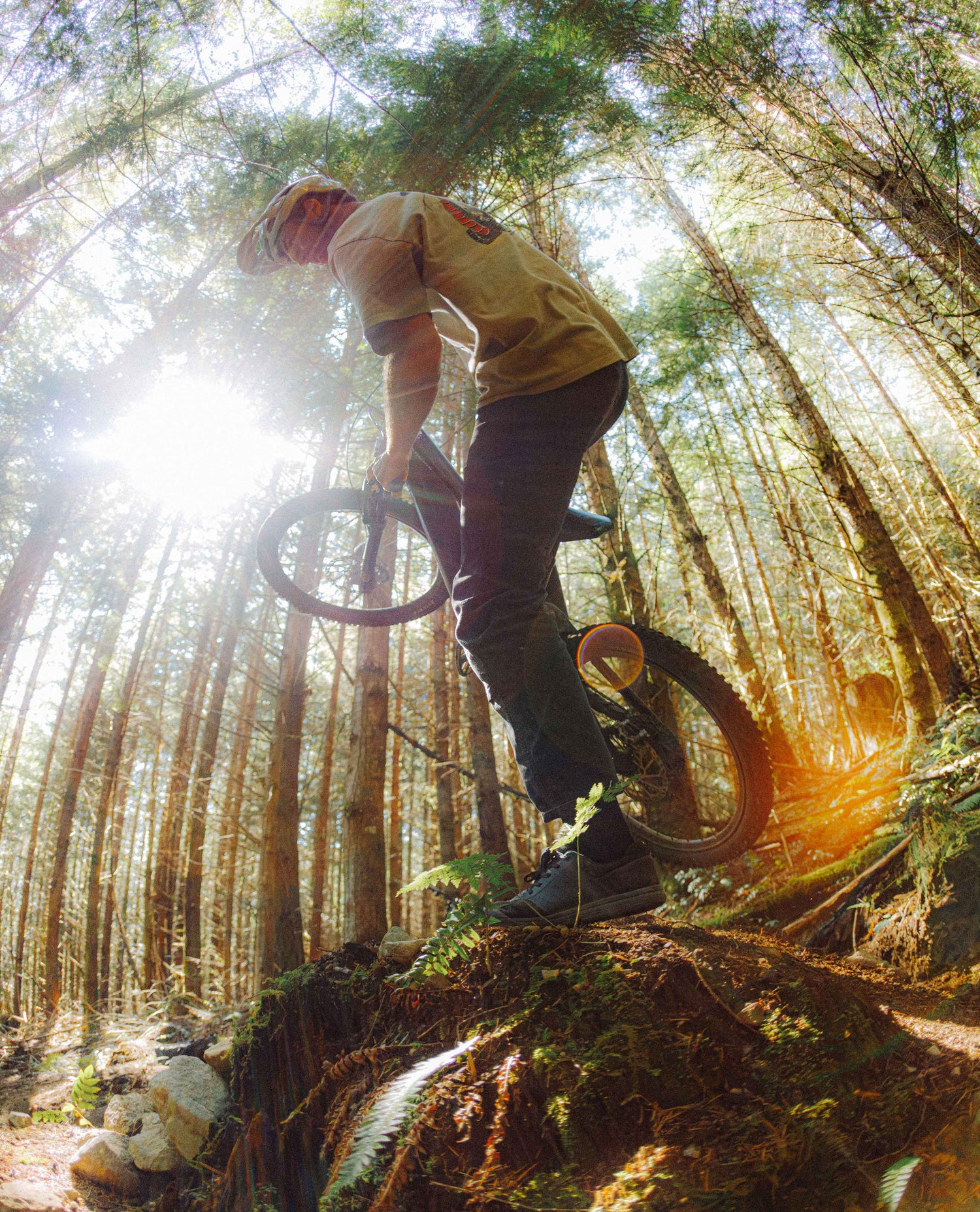 Dave doing a footplant trick on his mountain bike in the forest