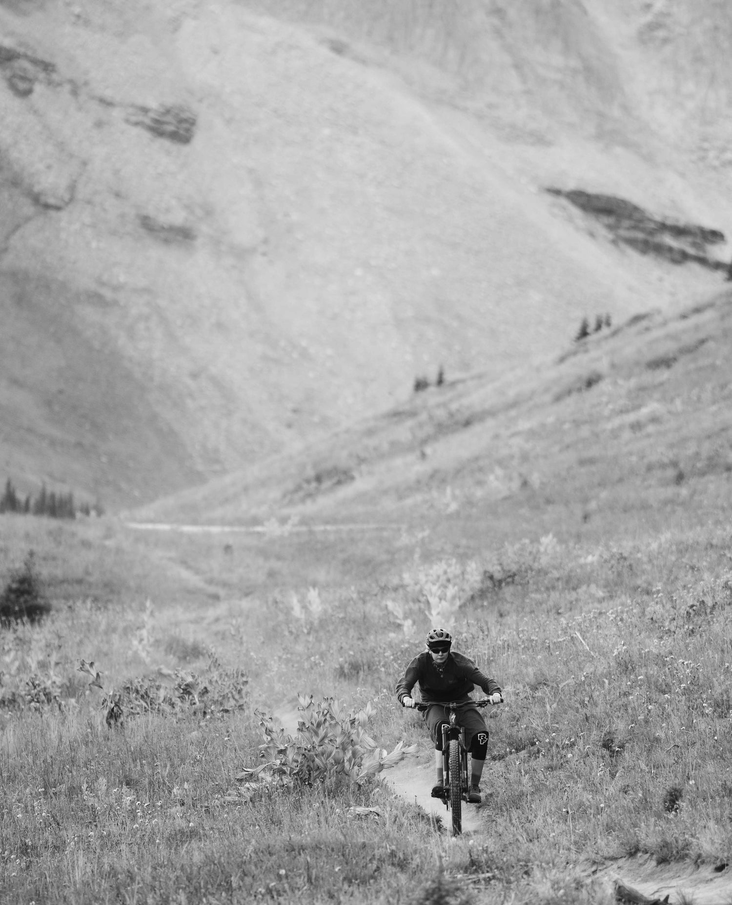 Mountain biker riding a singletrack trail in a high alpine meadow