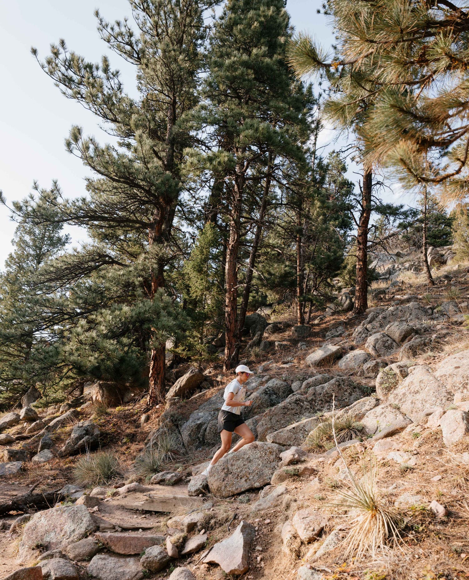 Person hiking on a rocky trail in a forested area
